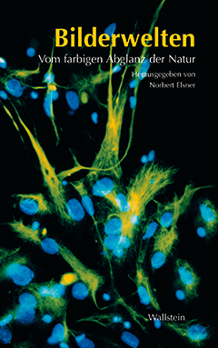 Buchcover: Bilderwelten