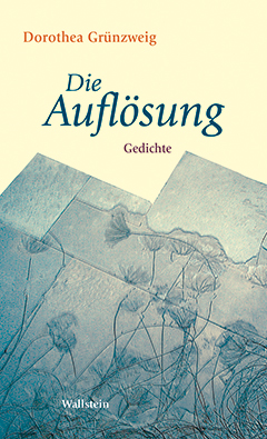 Buchcover: Die Auflösung