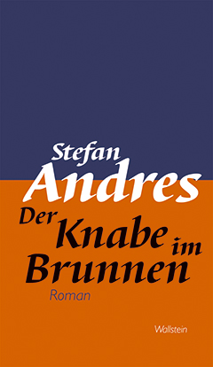 Buchcover: Der Knabe im Brunnen