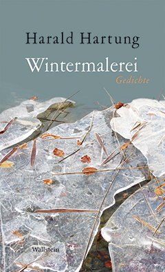 Buchcover: Wintermalerei