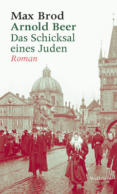 Buchcover: Arnold Beer. Das Schicksal eines Juden. Roman