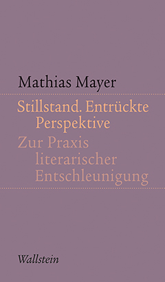 Buchcover: Stillstand. Entrückte Perspektive
