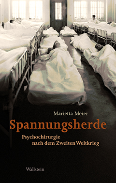 Buchcover: Spannungsherde