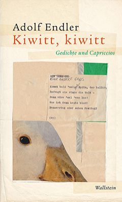 Kiwitt, kiwitt