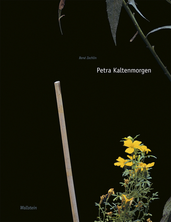 Buchcover: Petra Kaltenmorgen