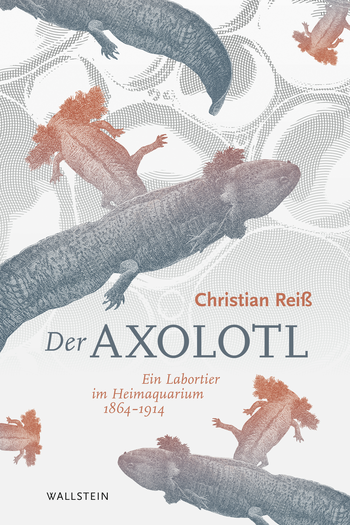 Buchcover: Der Axolotl