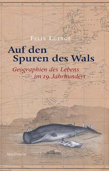 Following the Traces of the Whale