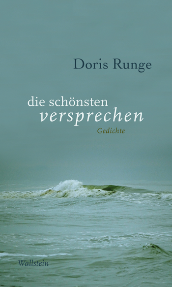 Buchcover: die schönsten versprechen