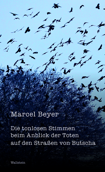 Buchcover: Die tonlosen Stimmen beim Anblick der Toten auf den Straßen von Butscha
