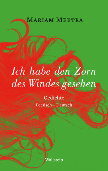 Buchcover: Ich habe den Zorn des Windes gesehen