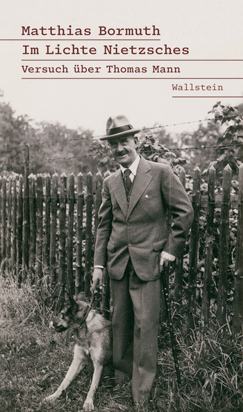 Buchcover: Im Lichte Nietzsches