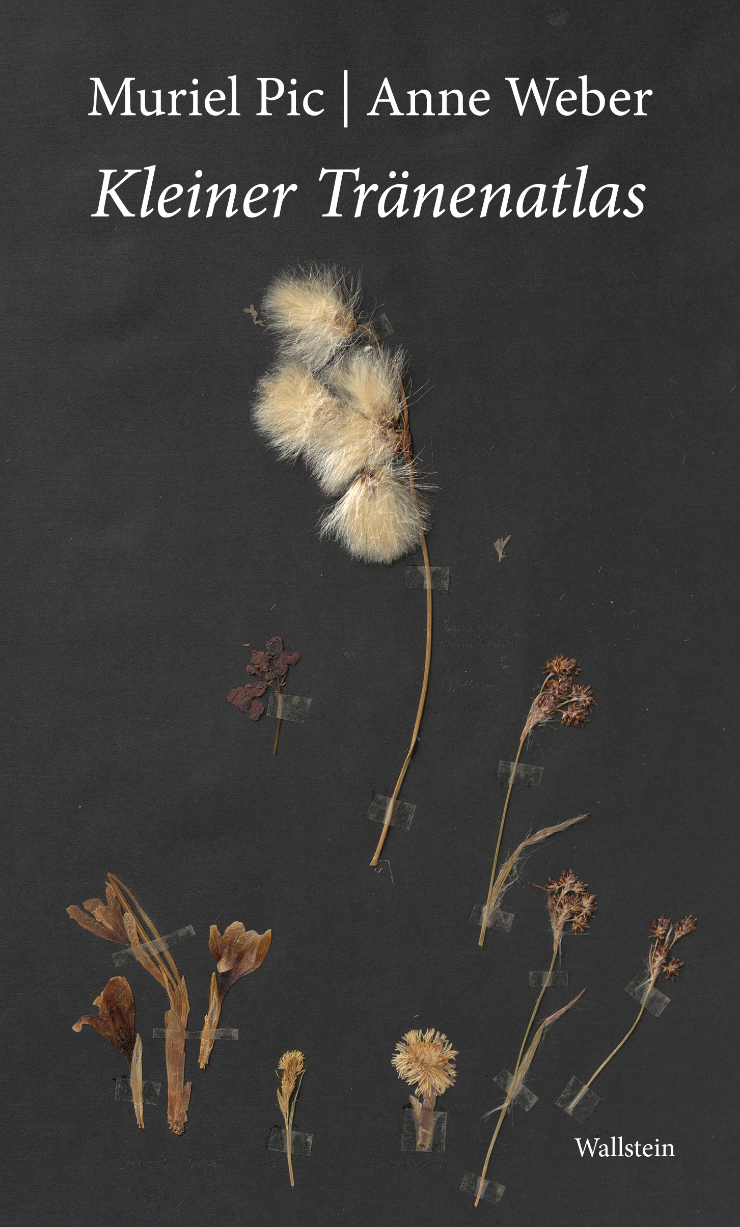 Buchcover: Kleiner Tränenatlas