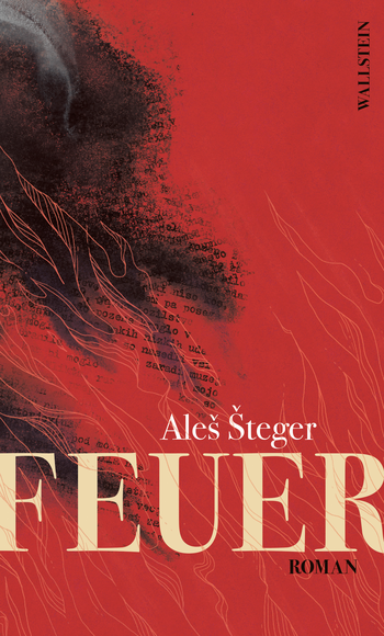 Buchcover: Feuer