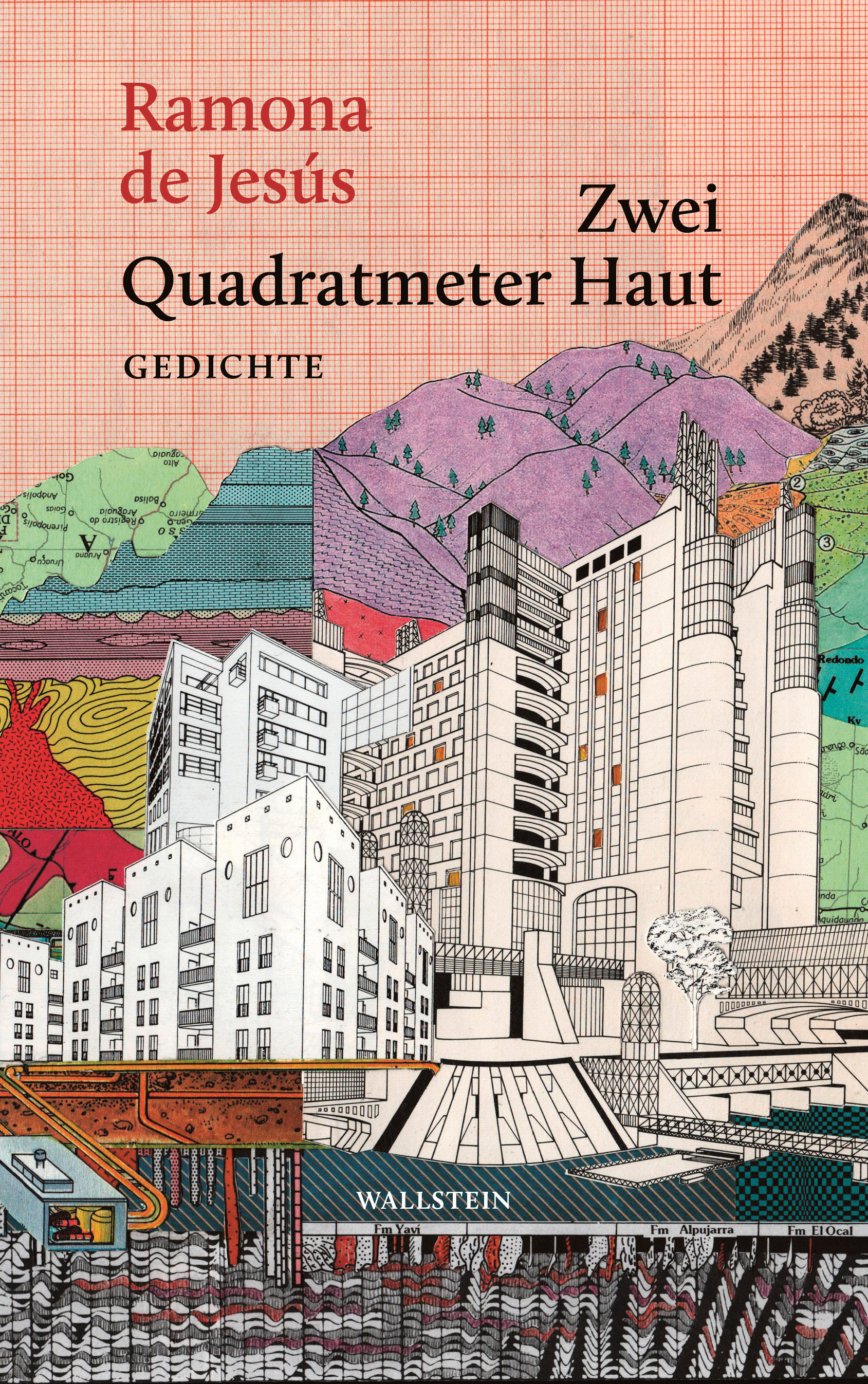 Buchcover: Zwei Quadratmeter Haut