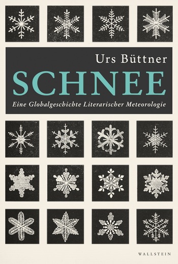 Buchcover: Schnee