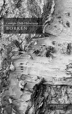 Buchcover: Borken