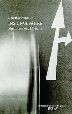 Buchcover: Ins Ungefähre