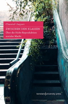 Buchcover: Zwischen den Klassen