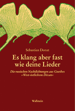 »Es klang aber fast wie deine Lieder...« Cover »Es klang aber fast wie deine Lieder...«