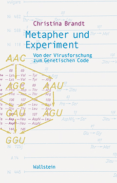 Buchcover: Metapher und Experiment